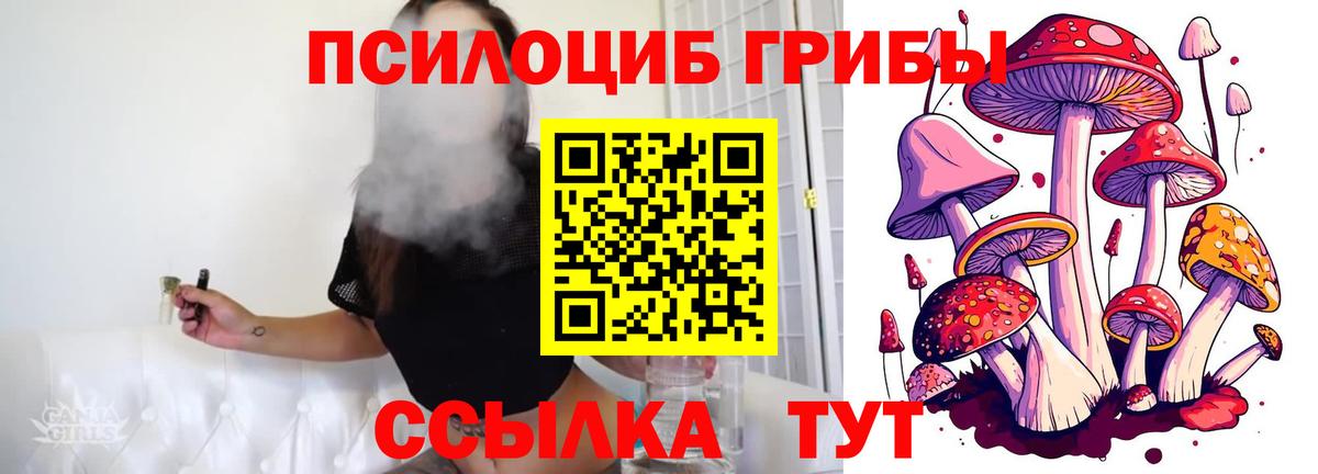 Псилоцибиновые грибы Magic Shrooms Мурманск
