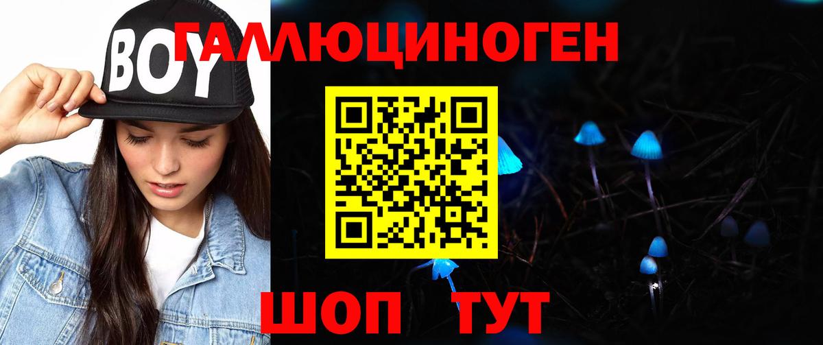Псилоцибиновые грибы GOLDEN TEACHER  Вход с VPN  Мурманск  Псилоцибиновые грибы MAGIC MUSHROOMS 